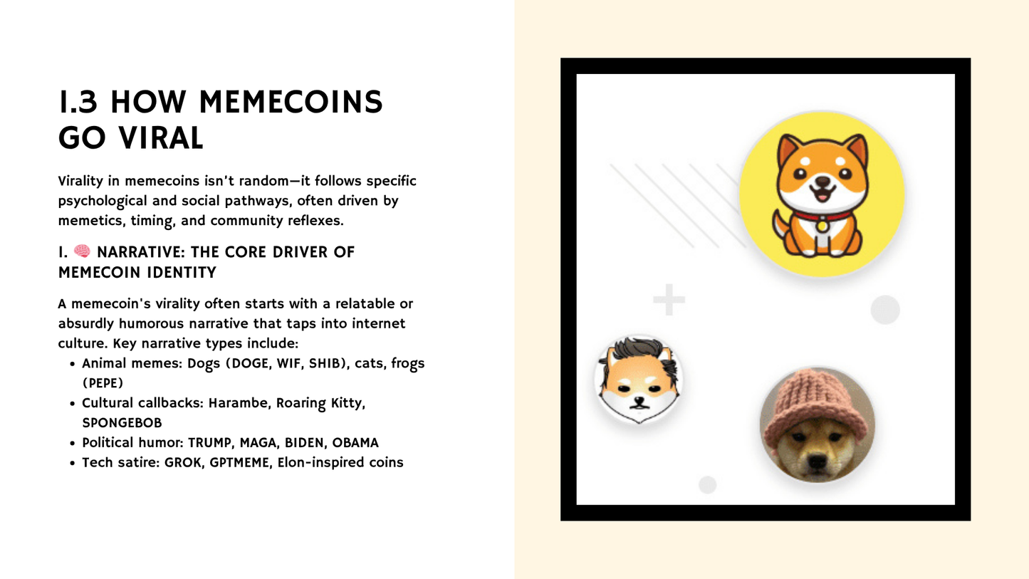 Memecoin College - Course